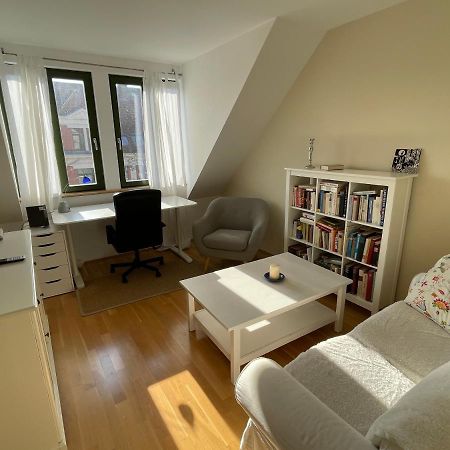 Апартаменты Loft Mit 2 Terrassen - Ruhig&Sonnig Лейпциг Экстерьер фото