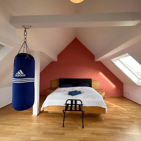 Апартаменты Loft Mit 2 Terrassen - Ruhig&Sonnig Лейпциг Экстерьер фото